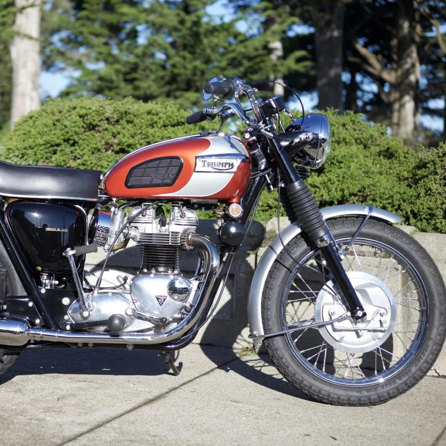 Triumph Olympic Flame Paint Product